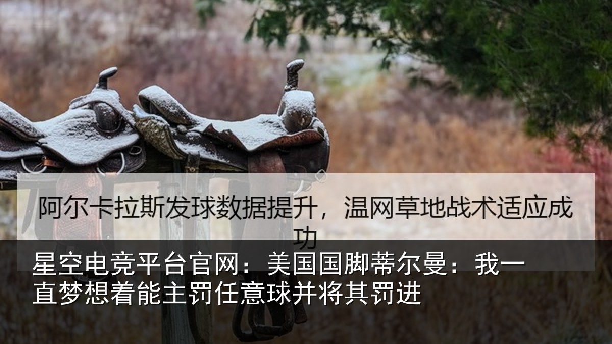 星空电竞平台官网：美国相关情况相关情况球并将其罚进