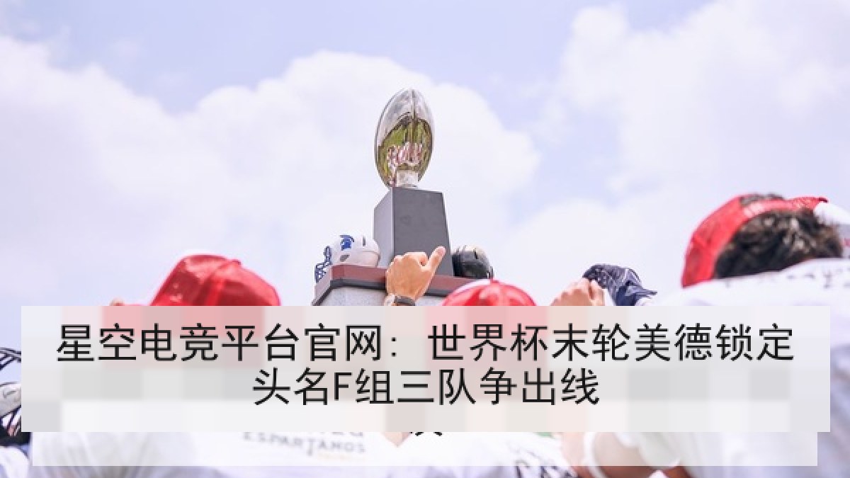 星空电竞平台官网: 世界杯末轮美德锁定头名F组三队争出线
