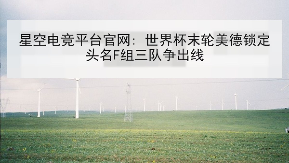 星空电竞平台官网: 世界杯末轮美德锁定头名F组三队争出线