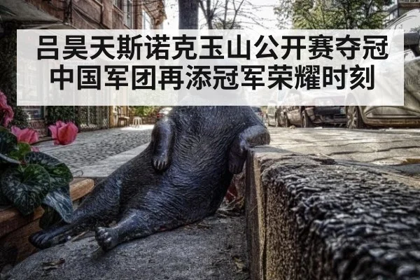 吕昊天斯诺克玉山公开赛夺冠中国军团再添冠军荣耀时刻
